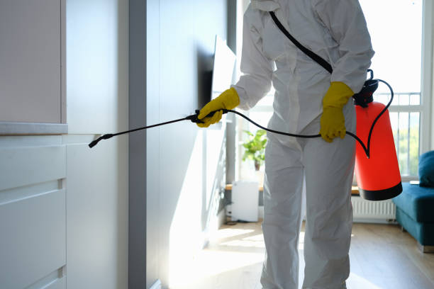 Best Commercial Mold Removal  in Goleta, CA