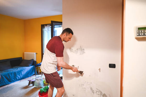 Best Residential Mold Removal  in Goleta, CA